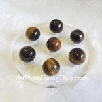 hm098-that-tinh-mat-meo