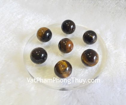 hm098-that-tinh-mat-meo