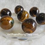 hm136-that-tinh-mat-meo