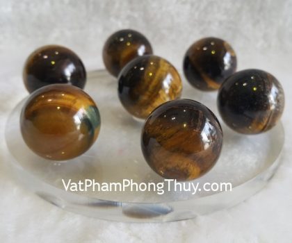 hm136-that-tinh-mat-meo