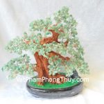 kc015-cay-tai-loc-dong-linh-lon-2