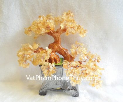 kc019-cay-tai-loc-thach-anh-vang-2