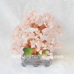 kc027-cay-tai-loc-thach-anh-hong-2