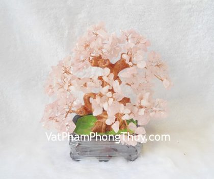 kc027-cay-tai-loc-thach-anh-hong-2