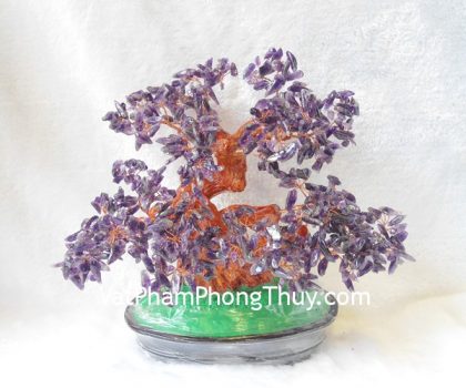 kc039-cay-tai-loc-thach-anh-tim-2