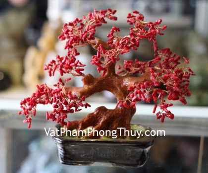 ca222-cay-san-ho-nhuom-do