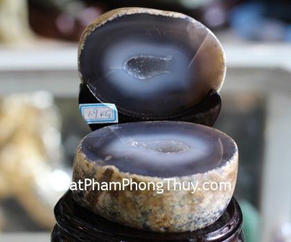 h098-s3-4788-bon-tu-bao-1