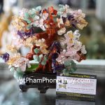 kc024-cay-thach-anh-nhieu-mau-chau-6-de