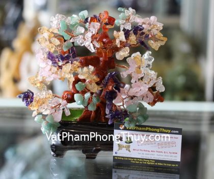 kc024-cay-thach-anh-nhieu-mau-chau-6-de