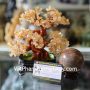 kc025-cay-thach-anh-vang-chau-6-de-2