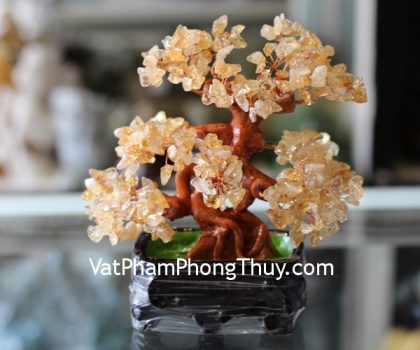 kc025-cay-thach-anh-vang-chau-6-de