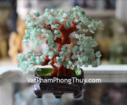 kc026-cay-dong-linh-chau-6-de