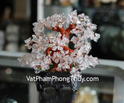 kc029-cay-thach-anh-trang-6-de