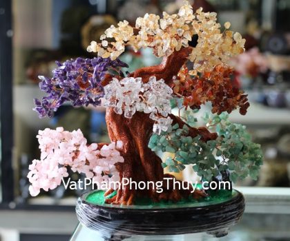 kc030-cay-tai-loc-nhieu-mau-theo-mang