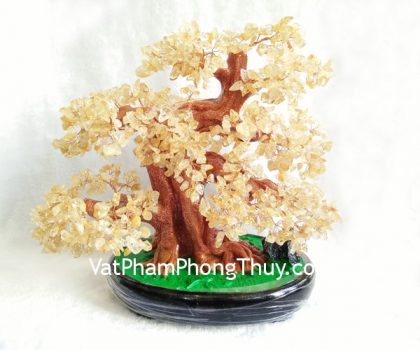 kc031-cay-thach-anh-vang