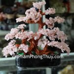 kc034-cay-tai-loc-thach-anh-hong-lon