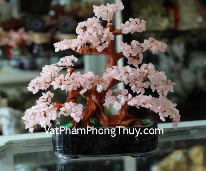 kc034-cay-tai-loc-thach-anh-hong-lon