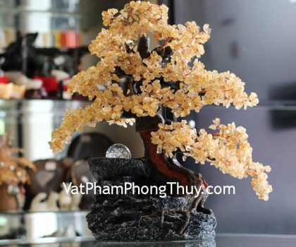 kc035-cay-thach-anh-vang-phong-thuy-luan-2