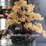 kc035-cay-thach-anh-vang-phong-thuy-luan-2