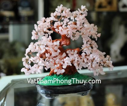 kc041-cay-tai-loc-thach-anh-hong-theo-mang-1