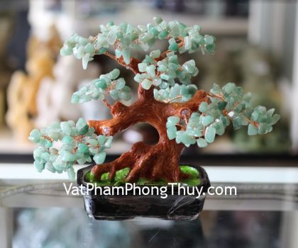 kc044-cay-dong-linh-nho