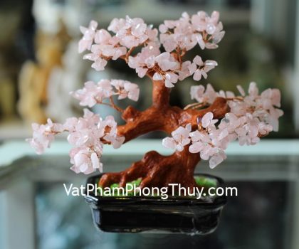 kc045-cay-thach-anh-hong-nho