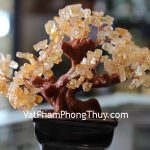 kc047-cay-thach-anh-vang-mini