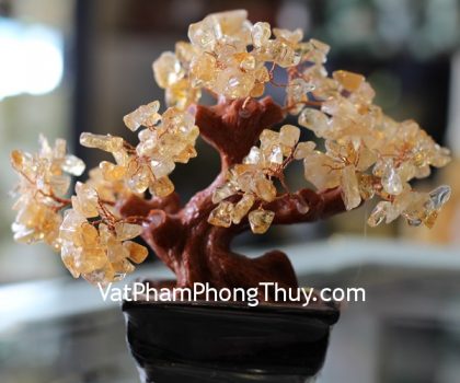 kc047-cay-thach-anh-vang-mini