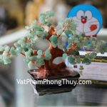 kc049-cay-dong-linh-mini-2