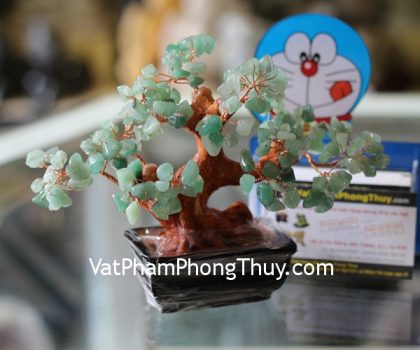 kc049-cay-dong-linh-mini-2