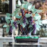 kc052-cay-nho-da-quy