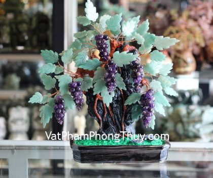 kc052-cay-nho-da-quy