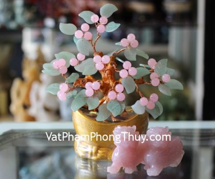 kc053-cay-sung-thach-anh-hong-2