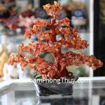 kc055-cay-tai-loc-da-ma-nao-lon