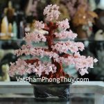 kc056-cay-tai-loc-thach-anh-hong-lon