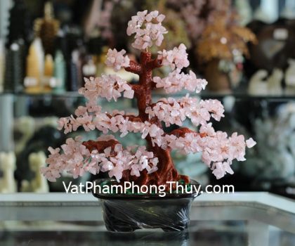 kc056-cay-tai-loc-thach-anh-hong-lon