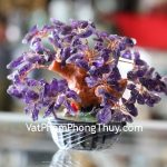 kc058-cay-thach-anh-tim-sieu-nho