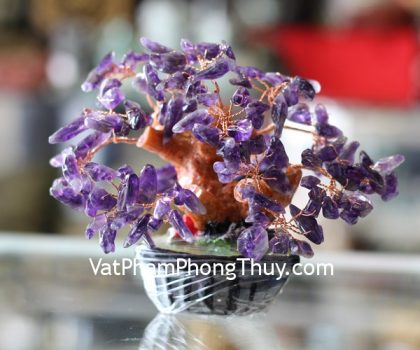 kc058-cay-thach-anh-tim-sieu-nho