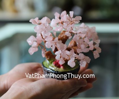 kc060-cay-thach-anh-hong-sieu-nho-2