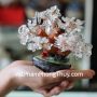 kc061-cay-thach-anh-trang-sieu-nho