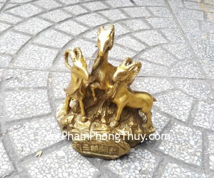 d200-tam-duong-dong-2