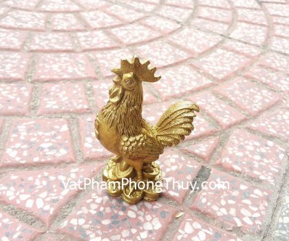 d202-ga-dong-ban-phuoc-2