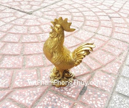 d235-ga-dong-tren-dong-tien-trung-2