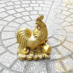 d246-ga-dong-tren-trung-vang-2