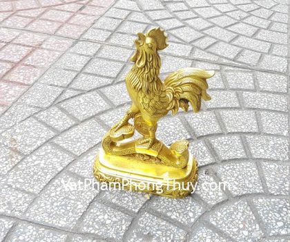 d247-ga-dong-nhu-y-lon-2