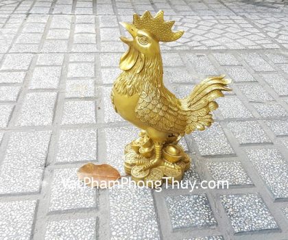 d250-ga-dong-dung-tren-dinh-vang-lon-2