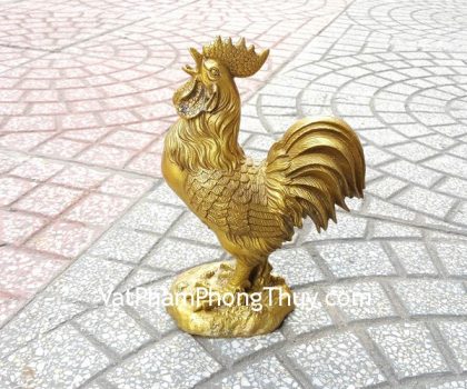 d251-ga-dong-dung-trung-2