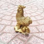 d252-ga-dong-dung-tren-vang-nho-1