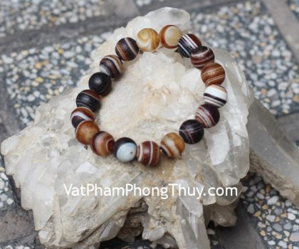 s6306-chuoi-da-vo-oc-nho-1