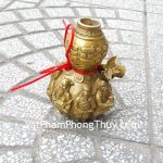 d204-ho-lo-bat-tien-nho-2